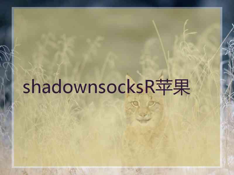 shadownsocksR苹果