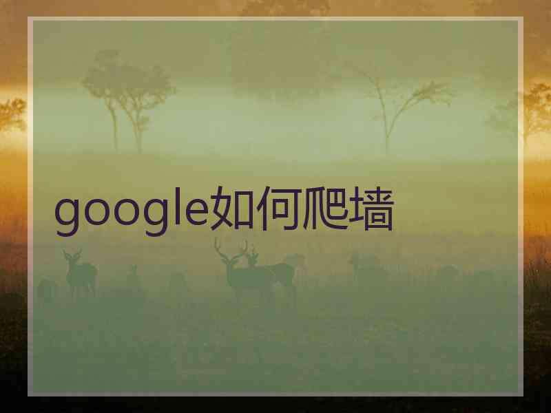 google如何爬墙