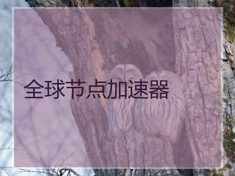 全球节点加速器