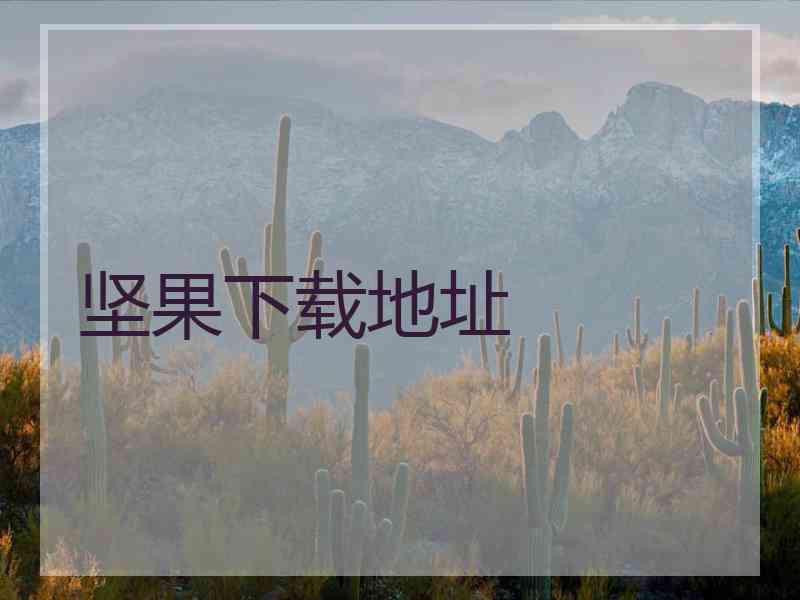 坚果下载地址