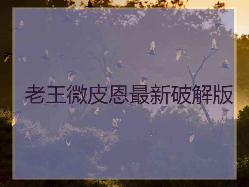 老王微皮恩最新破解版