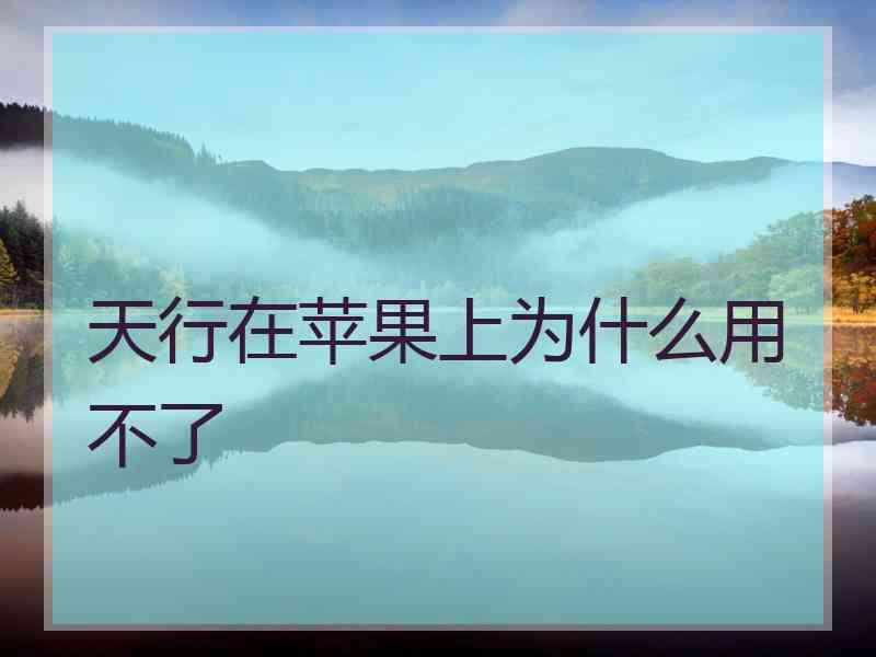天行在苹果上为什么用不了