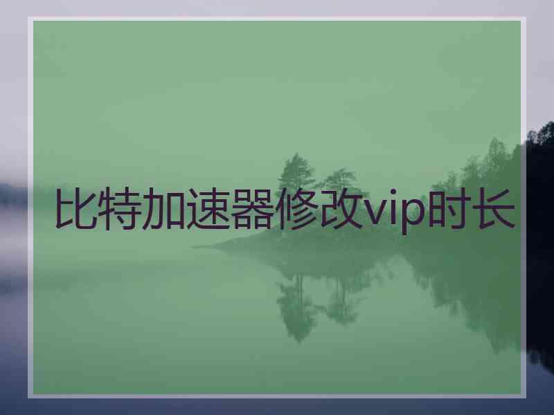 比特加速器修改vip时长