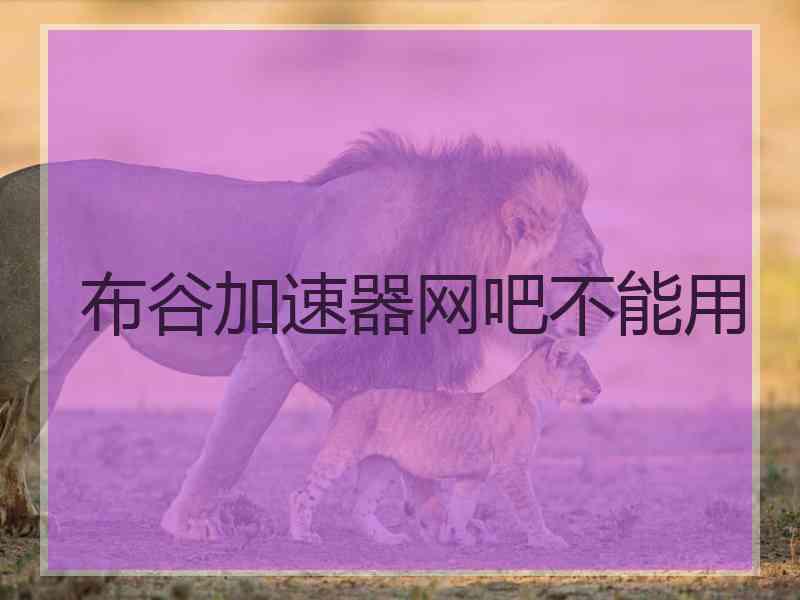 布谷加速器网吧不能用